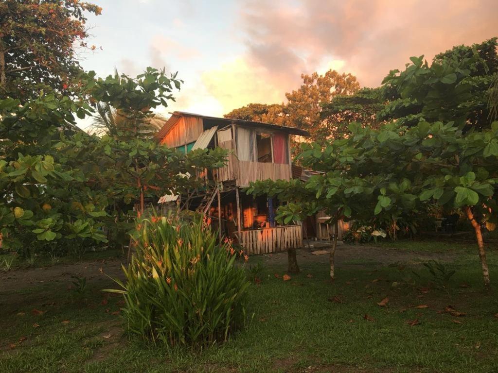 Miguel Surf Camp Hotell Quepos Eksteriør bilde