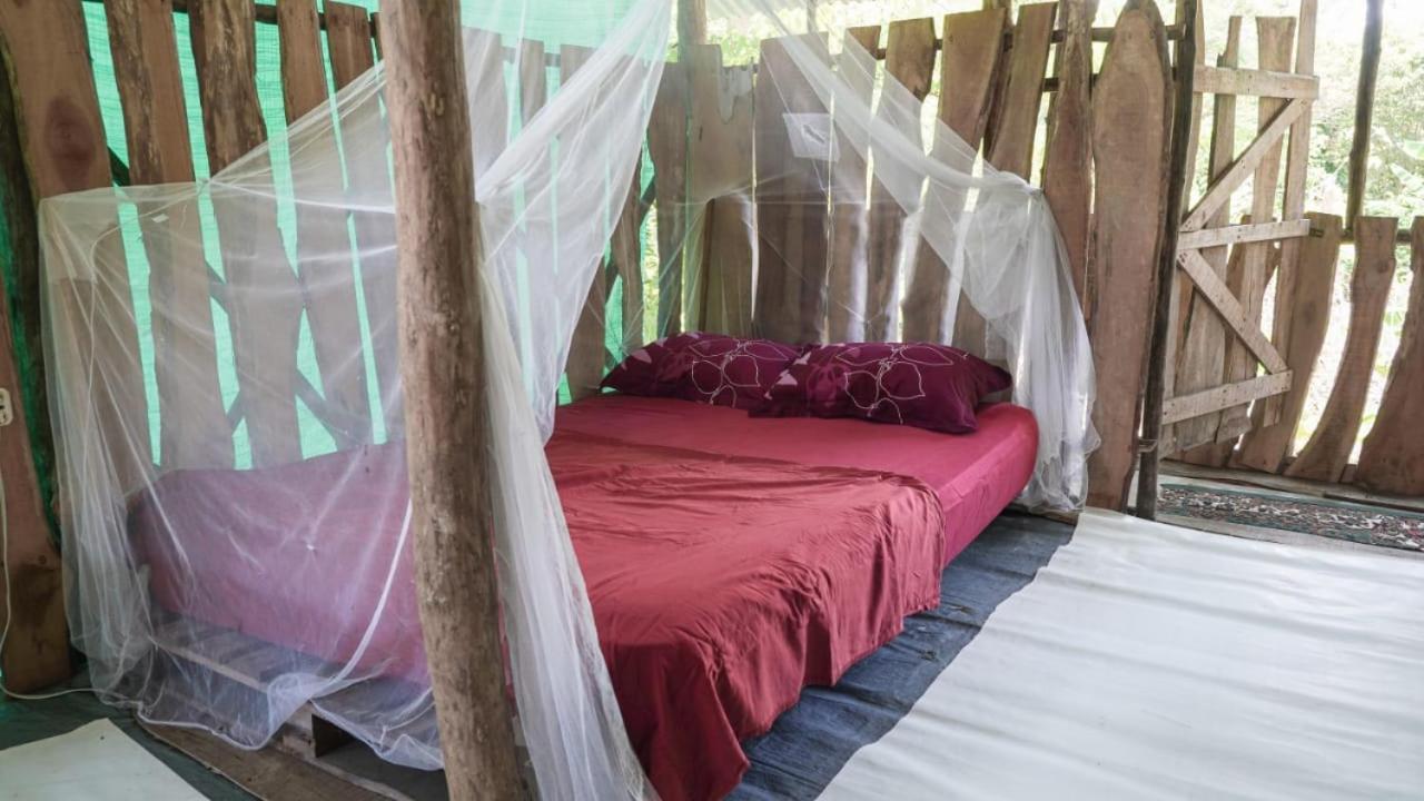 Miguel Surf Camp Hotell Quepos Eksteriør bilde