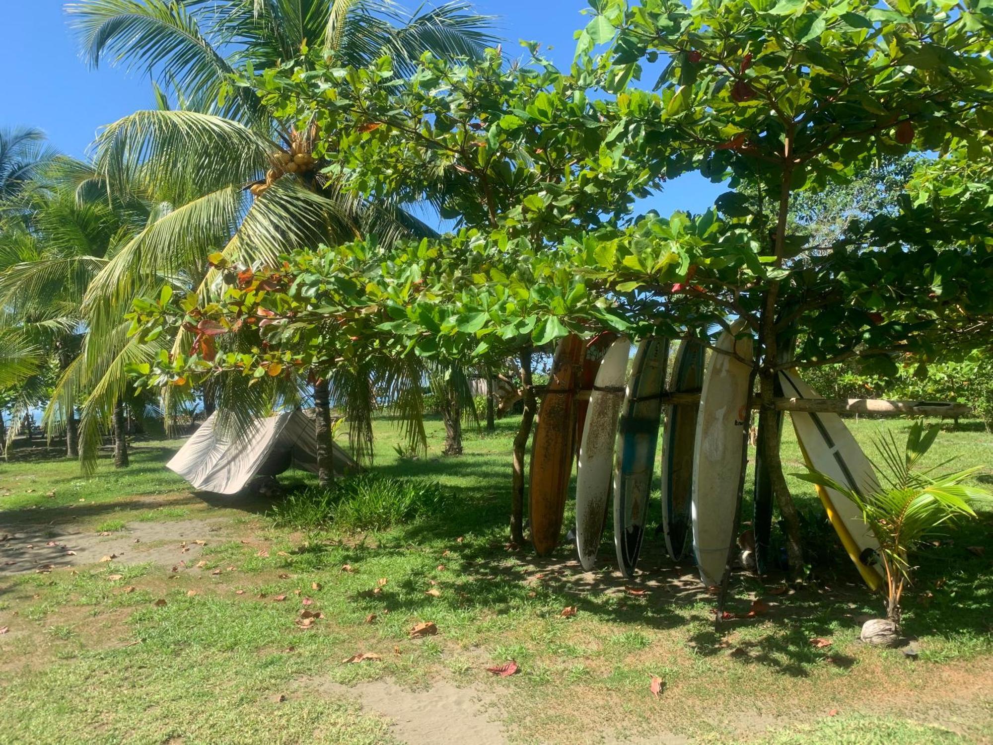 Miguel Surf Camp Hotell Quepos Eksteriør bilde