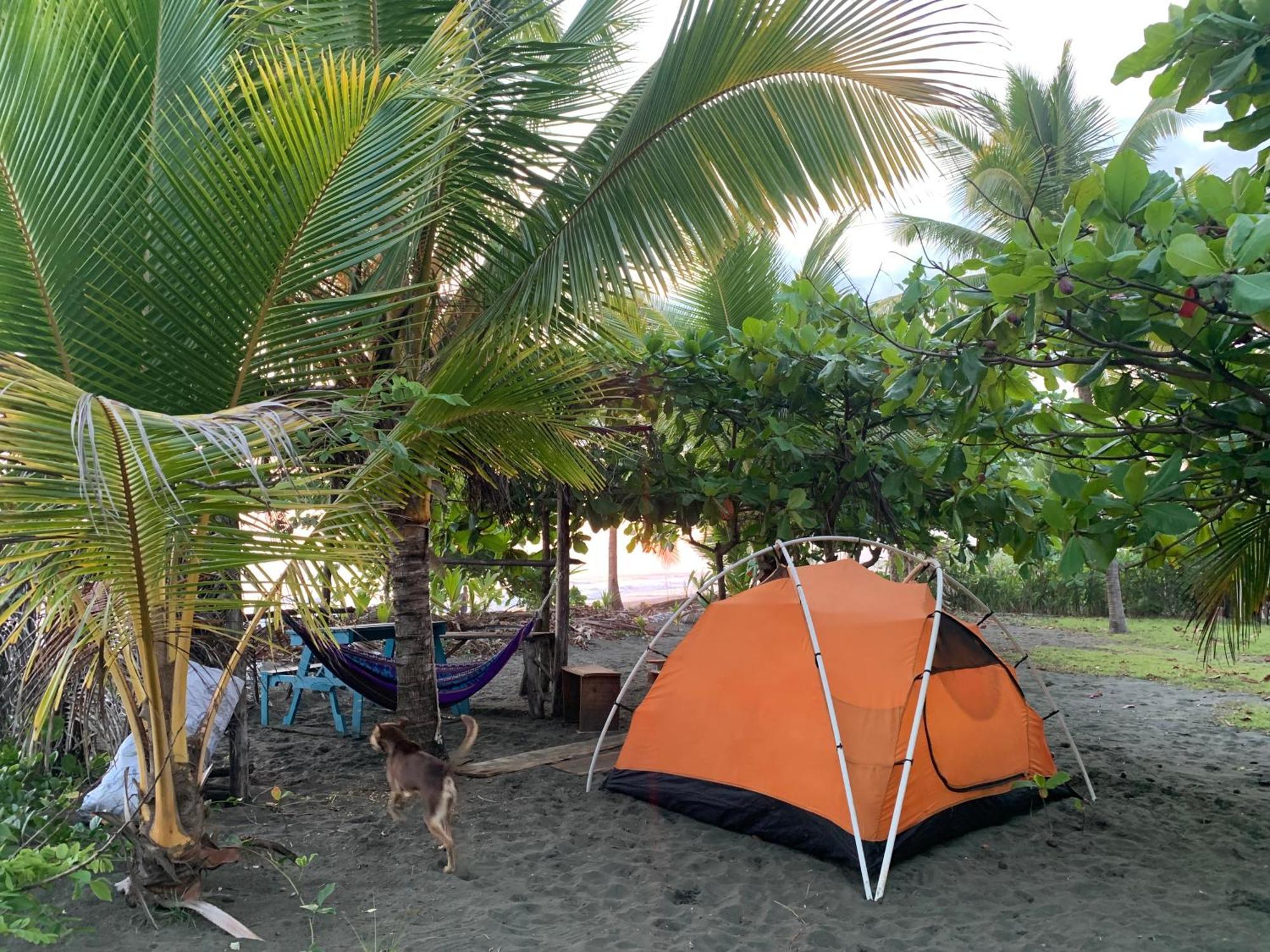 Miguel Surf Camp Hotell Quepos Eksteriør bilde